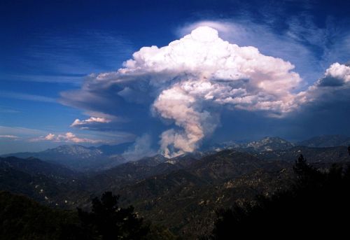 Image: Pyrocumulus cloud in the Angeles National Forest California, by Jeremy A Greene, 18 March 2012, CC BY-SA 4.0...